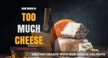 Cheese Overload: Finding the Perfect Balance in Your Diet