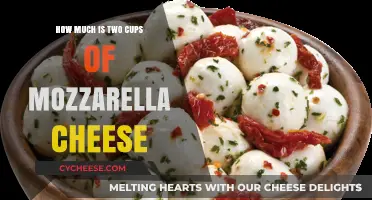 Measuring Mozzarella: How Much is Two Cups of Cheese?