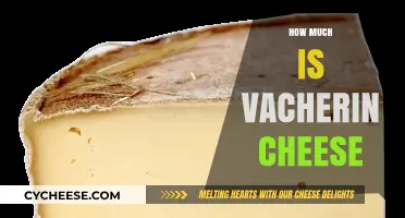 Vacherin Cheese Price Guide: Cost, Quality, and Buying Tips