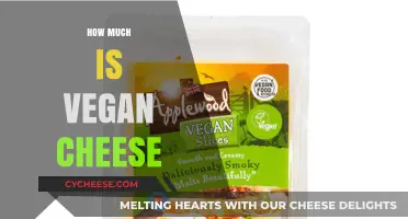 Exploring the Cost of Vegan Cheese: Affordable or Pricey?