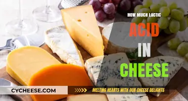 Lactic Acid Levels in Cheese: Understanding Its Role and Quantity