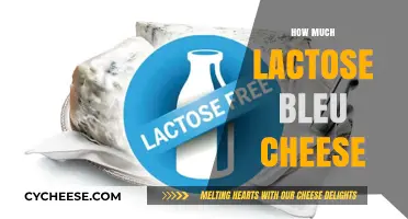 Lactose in Bleu Cheese: Understanding Content and Tolerance Levels