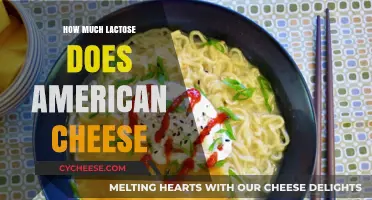 Lactose Content in American Cheese: What You Need to Know