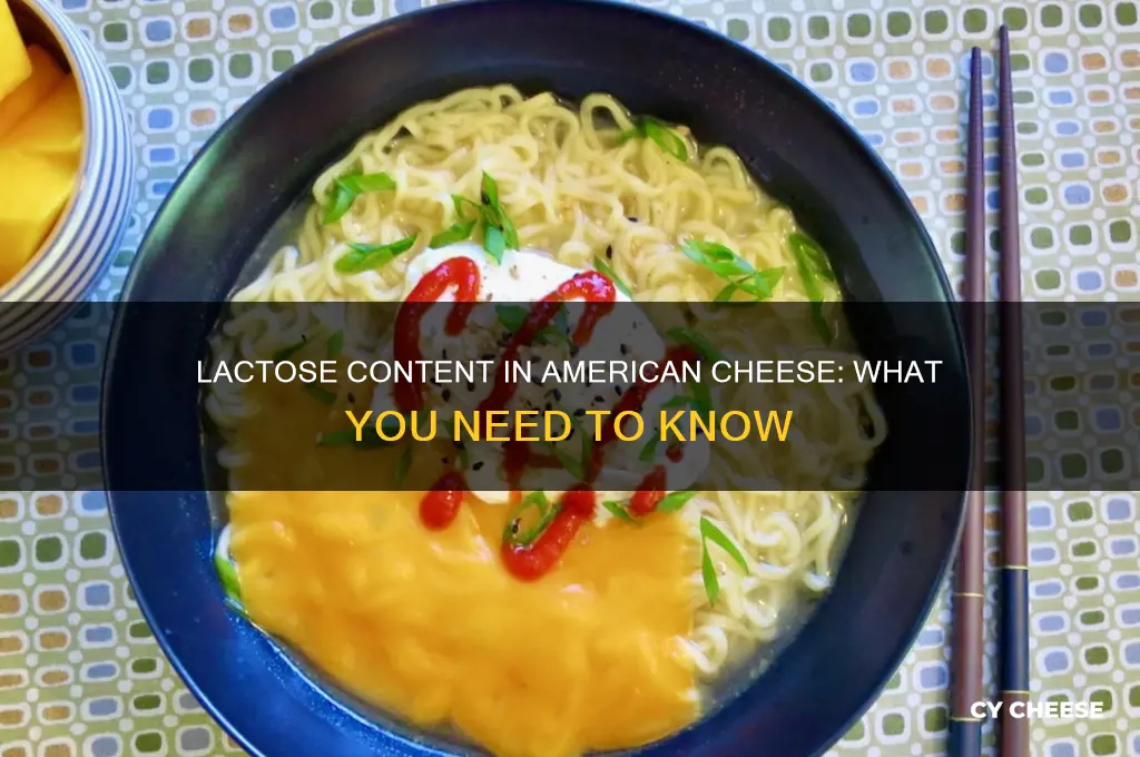 how much lactose does american cheese