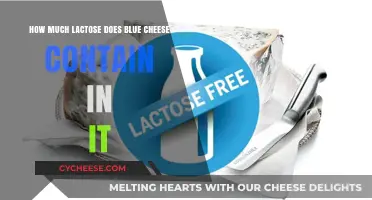 Lactose Content in Blue Cheese: What You Need to Know