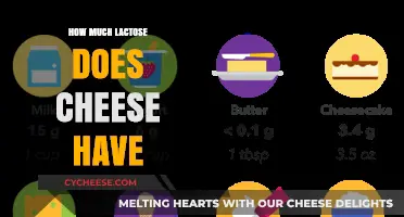 Lactose in Cheese: Understanding Levels and Tolerance for Dairy Lovers