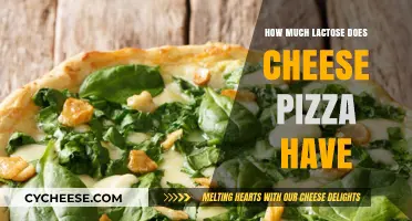 Lactose in Cheese Pizza: Understanding the Content and Impact