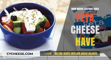Feta Cheese Lactose Content: What You Need to Know