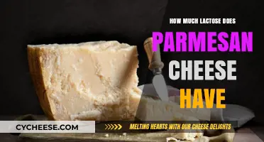Parmesan Cheese and Lactose: Understanding Its Content and Impact
