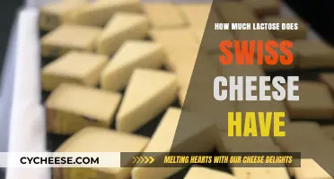 Swiss Cheese Lactose Content: What You Need to Know