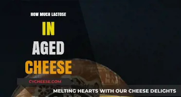 Lactose Content in Aged Cheese: What You Need to Know