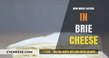 Lactose Content in Brie Cheese: What You Need to Know