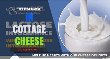 Lactose Content in Cottage Cheese: What You Need to Know