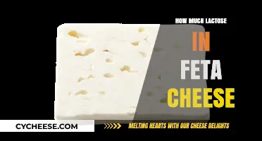 Lactose Content in Feta Cheese: What You Need to Know