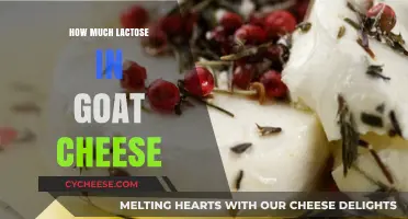 Goat Cheese Lactose Content: A Guide for Sensitive Stomachs