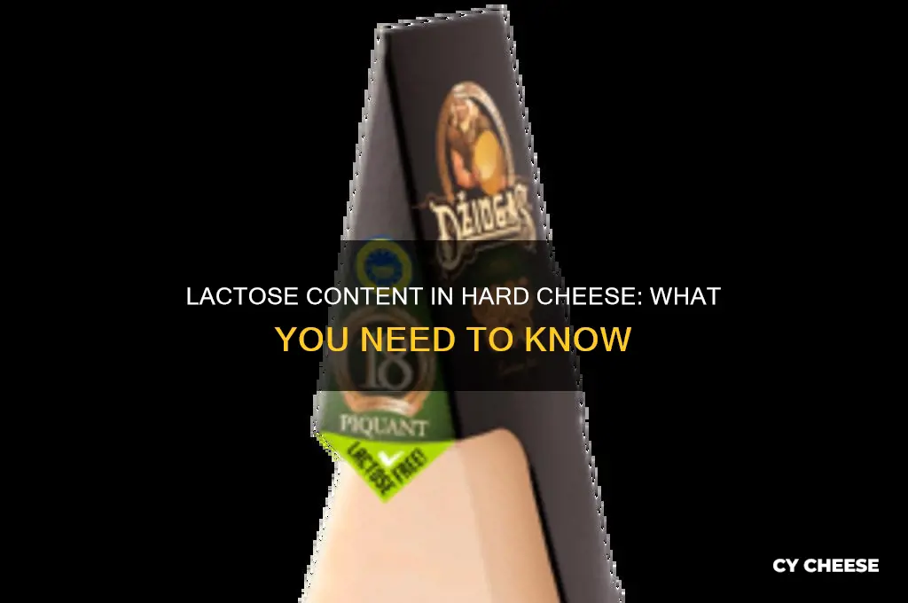 how much lactose in hard cheese