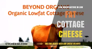 Low-Fat Cottage Cheese Lactose Content: What You Need to Know