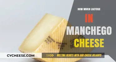 Lactose Content in Manchego Cheese: What You Need to Know
