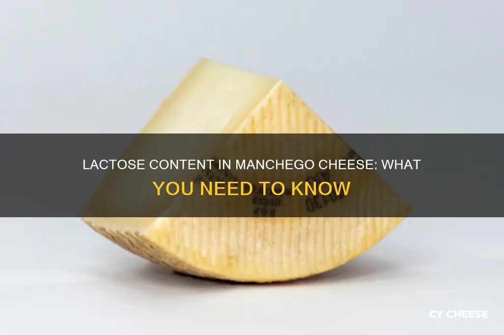 how much lactose in manchego cheese