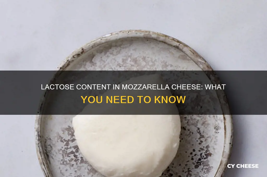 how much lactose in mozzarella cheese