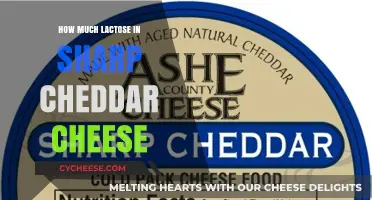 Lactose Content in Sharp Cheddar Cheese: What You Need to Know