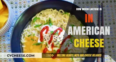 Lactose Content in American Cheese: What You Need to Know
