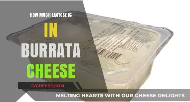 Lactose Content in Burrata Cheese: What You Need to Know