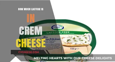 Lactose Content in Cream Cheese: What You Need to Know