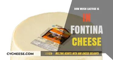 Fontina Cheese Lactose Content: What You Need to Know