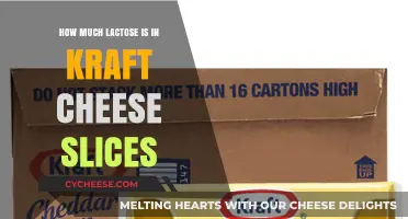Lactose Content in Kraft Cheese Slices: What You Need to Know