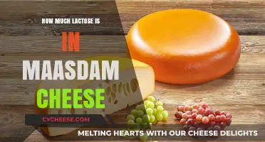 Lactose Content in Maasdam Cheese: What You Need to Know