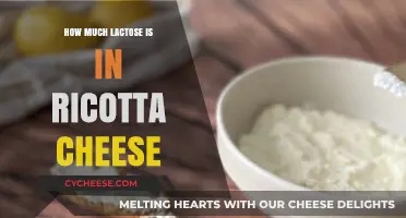 Lactose Content in Ricotta Cheese: What You Need to Know