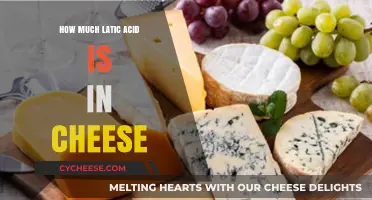 Lactic Acid in Cheese: Understanding Its Role and Content