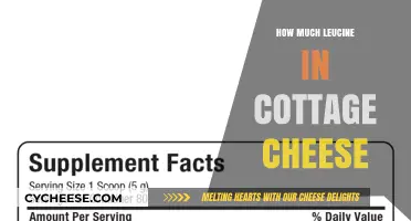 Leucine Content in Cottage Cheese: A Complete Nutritional Breakdown