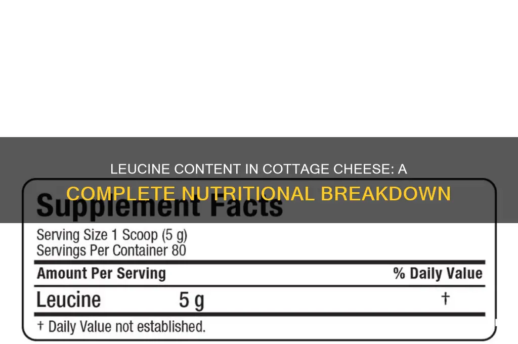 how much leucine in cottage cheese