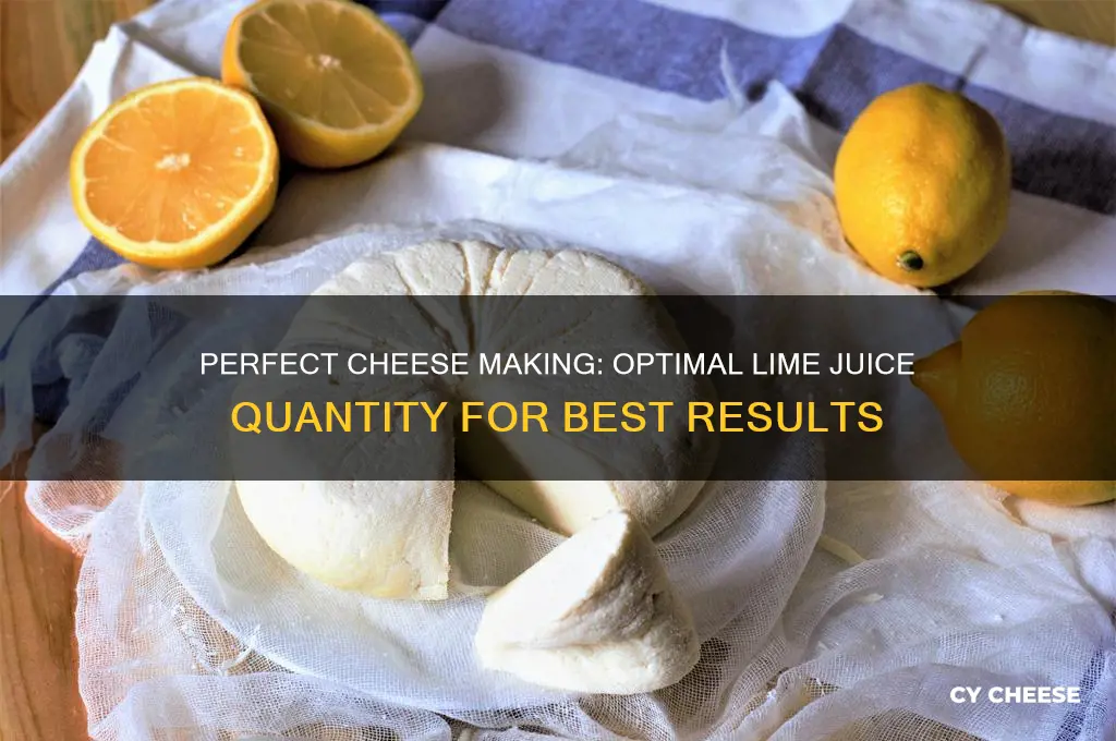how much lime juice to make cheese