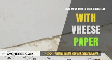 Extend Cheese Freshness: Vheese Paper's Impact on Shelf Life