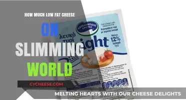 Slimming World Low-Fat Cheese Guide: Portions and Tips for Success
