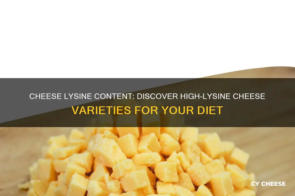 how much lysine in cheese high in lysine