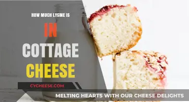 Cottage Cheese Lysine Content: A Nutritional Breakdown for Health Enthusiasts