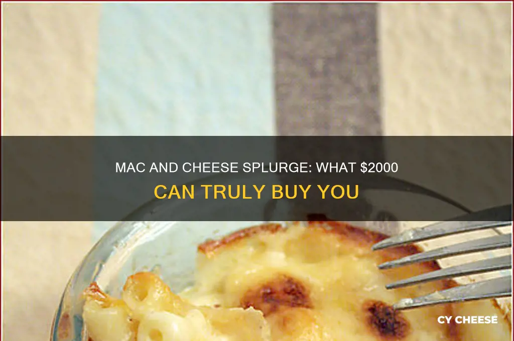 how much macaroni and cheese for 2000 dollars
