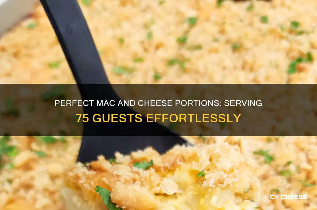 how much macaroni and cheese for 75