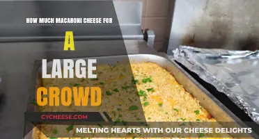 Feeding a Crowd: Perfect Macaroni and Cheese Portions for Large Gatherings