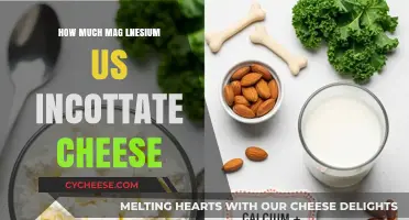 Magnesium in Cottage Cheese: Surprising Benefits and Serving Size Tips