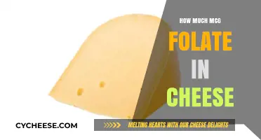Folate Content in Cheese: Understanding the Microgram Amounts