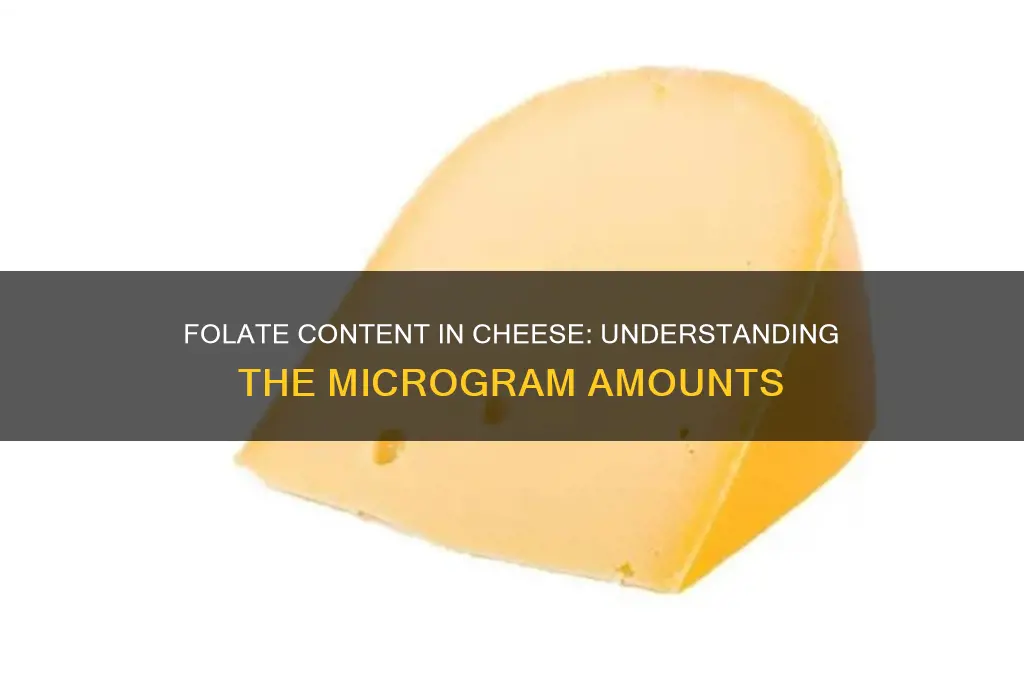 how much mcg folate in cheese