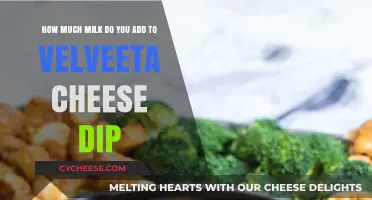 Perfect Velveeta Cheese Dip: Milk Measurement Tips for Creamy Texture