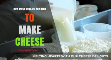 Cheese Making Basics: Calculating Milk Requirements for Perfect Cheese