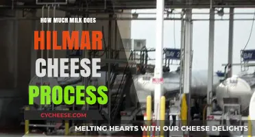 Hilmar Cheese's Milk Processing Volume: Unveiling the Dairy Giant's Daily Intake