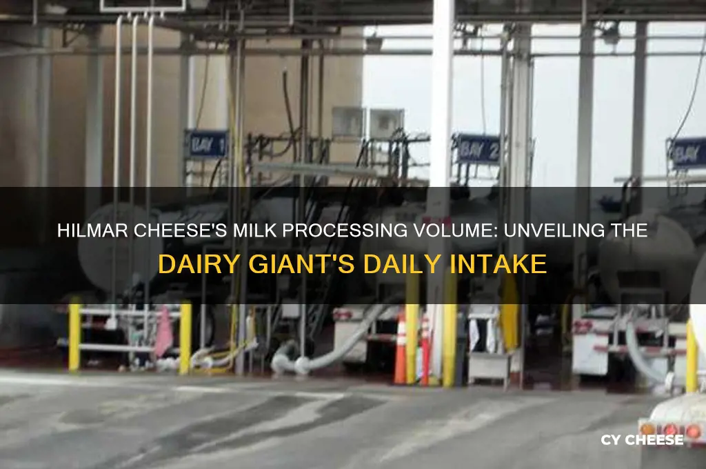 how much milk does hilmar cheese process